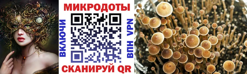 Галлюциногенные грибы Psilocybine cubensis  мега ONION  Избербаш 